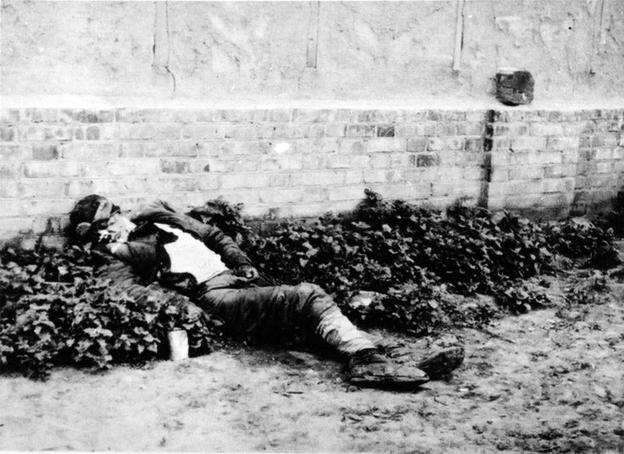 A victim of the Holodomor. Kharkiv, 1933