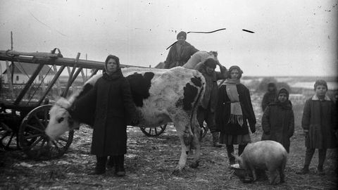 Collectivization Photo 4