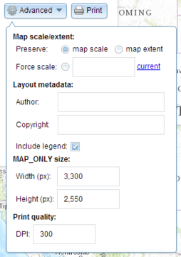 Advanced print options web interface